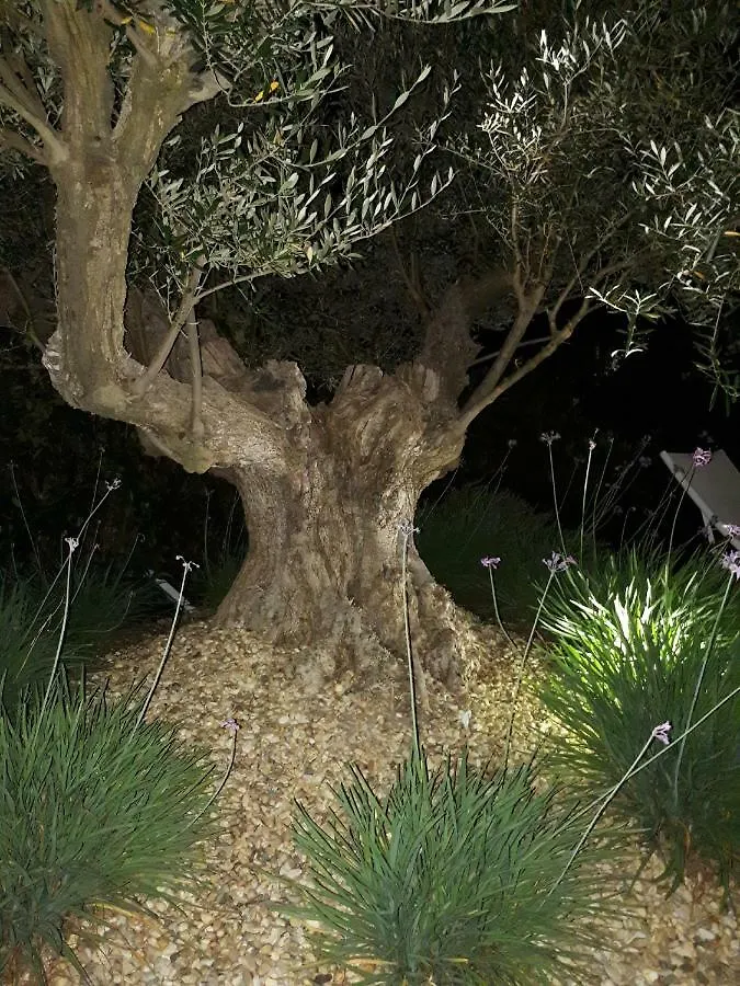 Bastide Alexelia ,Golfe De Saint Tropez, Sauna Hammam Holiday home
